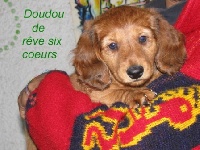 doudou