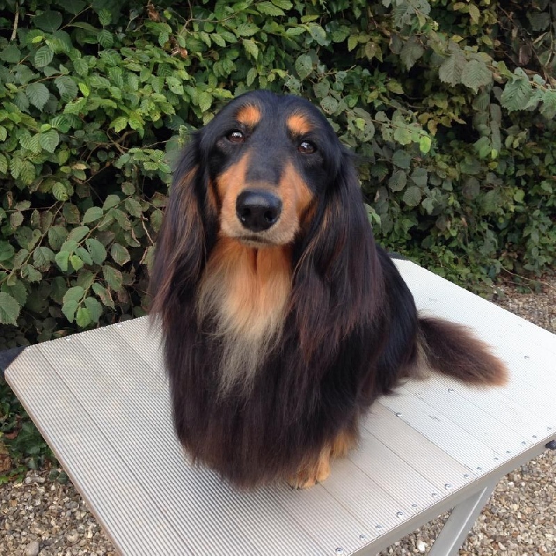 Gnocchi du reve six coeurs